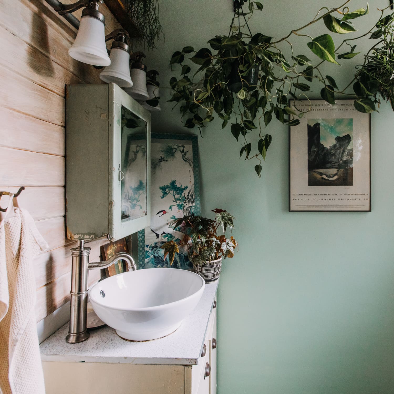 Plant hanger for 2025 bathroom